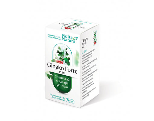 Ginkgo Forte Plus