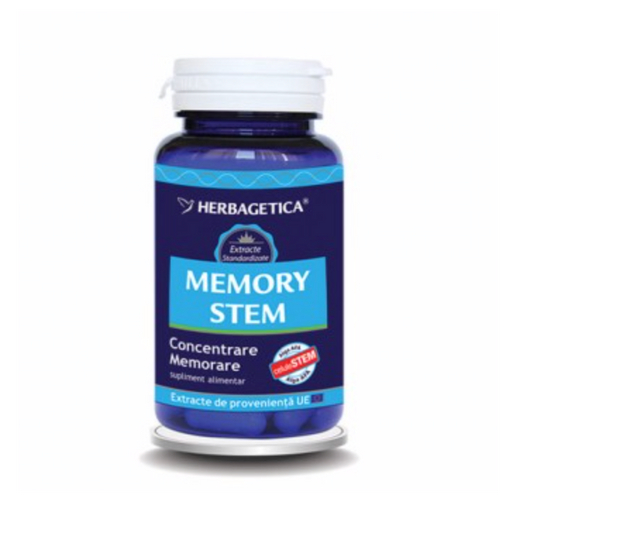 MEMORY STEM