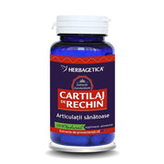 CARTILAJ de RECHIN