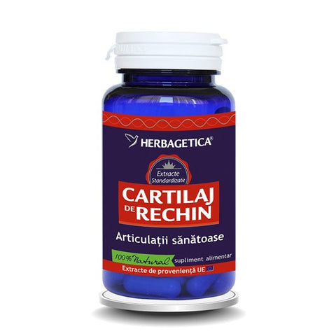 CARTILAJ de RECHIN
