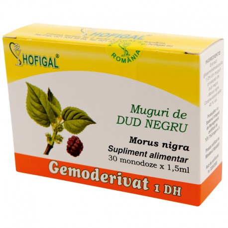 Gemoderivat muguri de dud negru
