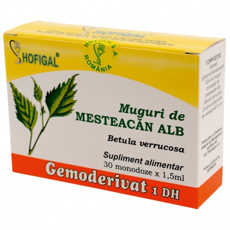 Muguri de mesteacan alb - Gemoderivat
