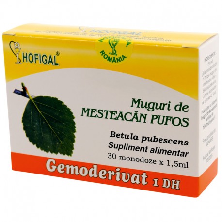 Muguri de mesteacan pufos - Gemoderivat