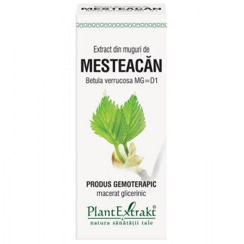 Extract muguri de mesteacan