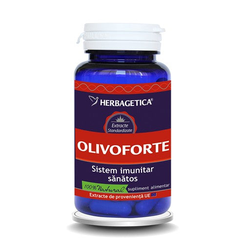 OLIVO FORTE