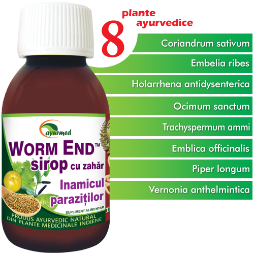 WORMEND SIROP CU ZAHAR